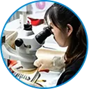 Ispezione completa delle prestazioni